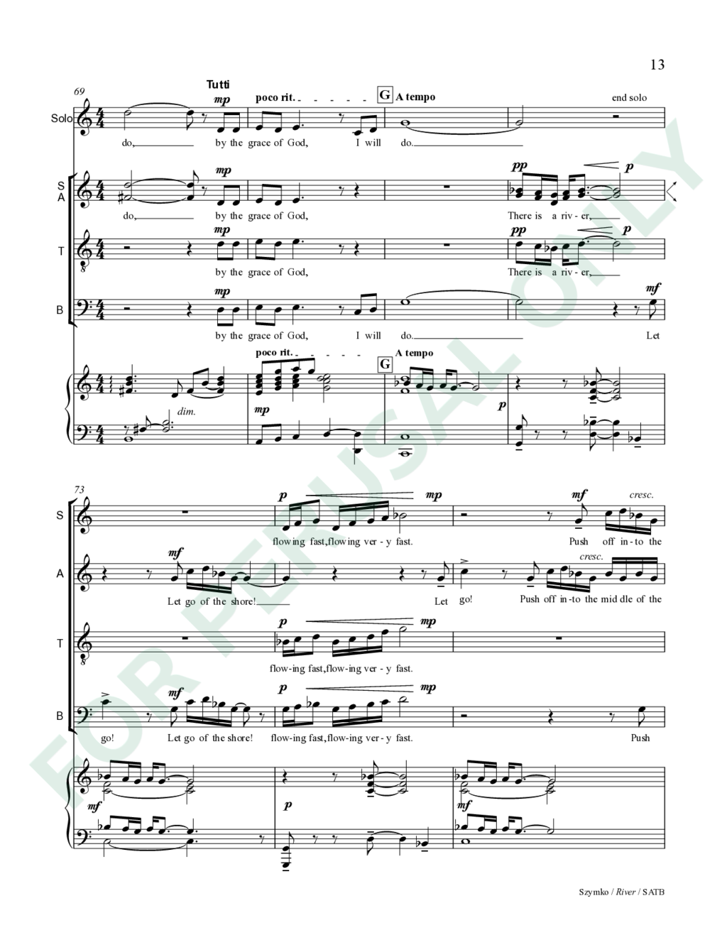 Page 13 of JS-059MX score